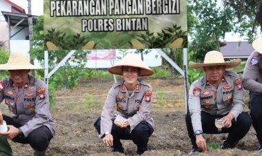 Polres Bintan laksanakan penanaman bibit jagung pipil dilahan pekarangan pangan bergizi Polres Bintan