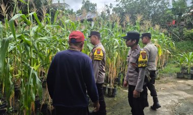 Polsek Daik Lingga Gerakkan Warga Tanam Jagung Serentak Dukung Ketahanan Pangan Nasional