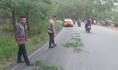 Batara Biru Polsek Sekupang Tangani Jalan Licin Pemicu Kecelakaan di Tanjung Riau