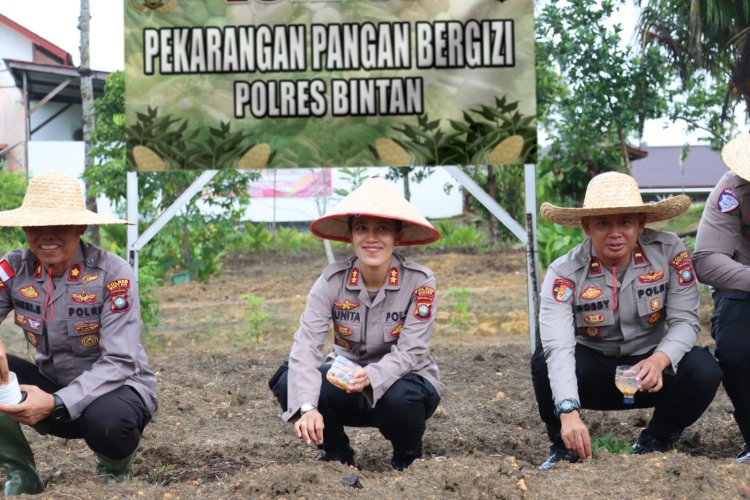 Polres Bintan laksanakan penanaman bibit jagung pipil dilahan pekarangan pangan bergizi Polres Bintan