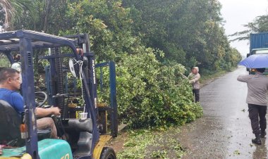 Polsek Batu Ampar Sigap Evakuasi Pohon Tumbang di Jalan Raya Tanjung Sengkuang