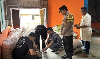 Polres Bintan Lakukan Pengecekan dan Pergeseran Hasil Panen Jagung Pipil Kelompok Tani Milenial Kreatif Desa Lancang Kuning