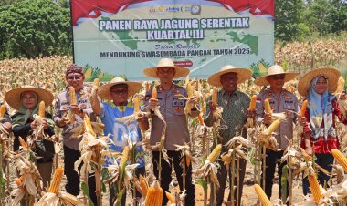 Panen Raya Jagung Serentak Kuartal III Polres Bintan