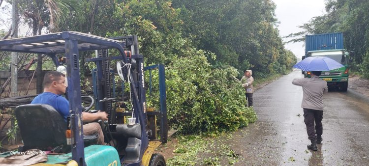Polsek Batu Ampar Sigap Evakuasi Pohon Tumbang di Jalan Raya Tanjung Sengkuang