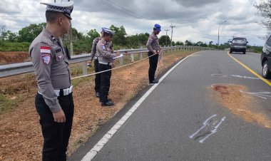 Kecelakaan Maut di Jalan Lintas Barat Bintan, Satu Pengendara Sepeda Motor Tewas di Tempat