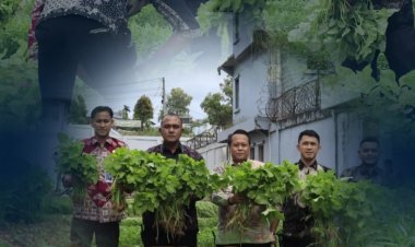Lapas Batam Tunjukkan Komitmen, Kembali Panen 200 Kg Sayuran Segar