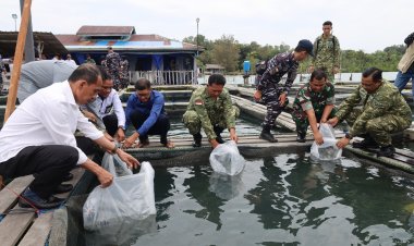 Kodaeral IV Batam Gelar Panen Ketahanan Pangan TNI AL Tahun 2025