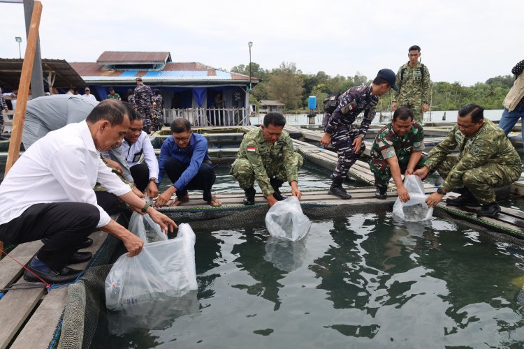 Kodaeral IV Batam Gelar Panen Ketahanan Pangan TNI AL Tahun 2025