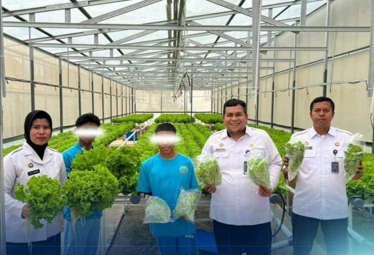 RUTAN BATAM BAGIKAN 300 IKAT SELADA HASIL PROGRAM PEMBINAAN HIDROPONIK
