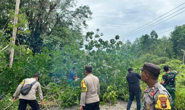 Polsek Singkep Barat Bersama Warga Tebang Pohon Rawan Tumbang Demi Keselamatan Pengguna Jalan