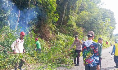 Bripda Rizki Adrian Prasetya Ajak Warga Sungai Raya Tebang Pohon Tua Demi Keselamatan Bersama