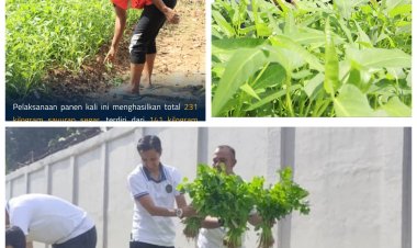 Panen Ceria Bayam & Kangkung Melimpah di Lapas Batam, Dukung Ketahanan Pangan Nasional