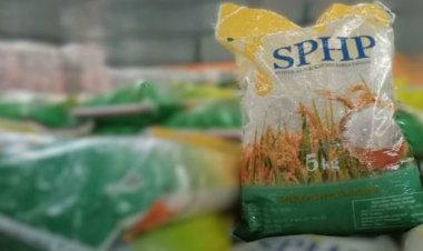Pemerintah Percepat Distribusi Beras Bantuan untuk Stabilkan Harga Jelang Akhir Tahun