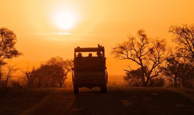 Safari Afrika Selatan Jadi Destinasi Favorit Baru Traveler Petualang: Sunrise di Tengah Savana Bikin Nagih