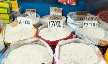 Harga Beras Turun, Pemerintah Sebut Stok Aman dan Distribusi Membaik