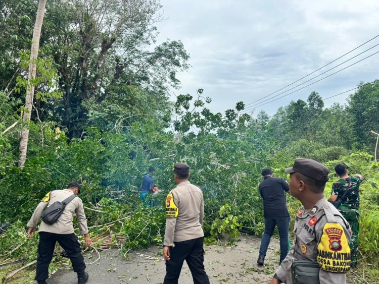 Polsek Singkep Barat Bersama Warga Tebang Pohon Rawan Tumbang Demi Keselamatan Pengguna Jalan