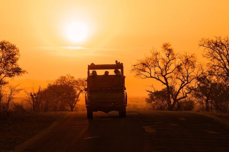 Safari Afrika Selatan Jadi Destinasi Favorit Baru Traveler Petualang: Sunrise di Tengah Savana Bikin Nagih