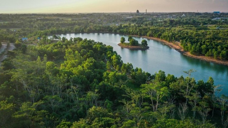 Patroli Ketat ke Taman Nasional & Serangkaian Penggerebekan Perkebunan Ilegal: Pemerintah Tindak Tegas Pelanggaran Lingkungan
