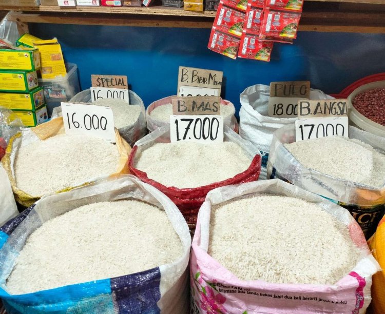 Harga Beras Turun, Pemerintah Sebut Stok Aman dan Distribusi Membaik