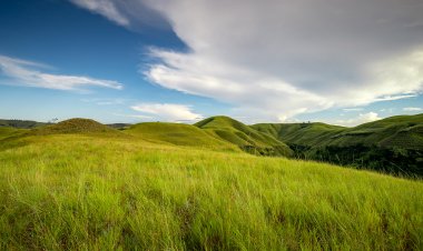Pesona Abadi Sumba: Surga Padang Savana dan Warisan Megalitikum
