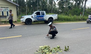 Kurang Fokus Saat Mengemudi, Mobil Wuling Tabrak Motor di Trikora, Pengendara Alami Luka Serius, Anak 4 Tahun Terluka