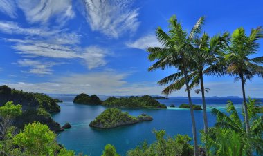 Ekspansi Penerbangan 'X': Rute Sambungan Jakarta-Sorong Diperkuat Jelang Nataru 5 Desember 2025