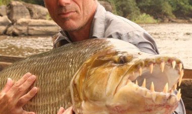 Jurus Jitu "Strike" Terus: Tips dan Trik Memancing untuk Pemula hingga Profesional