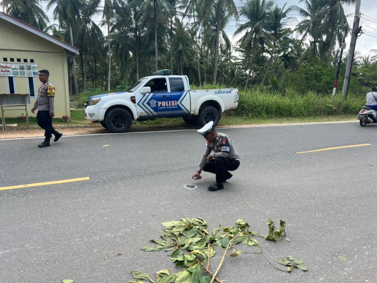 Kurang Fokus Saat Mengemudi, Mobil Wuling Tabrak Motor di Trikora, Pengendara Alami Luka Serius, Anak 4 Tahun Terluka