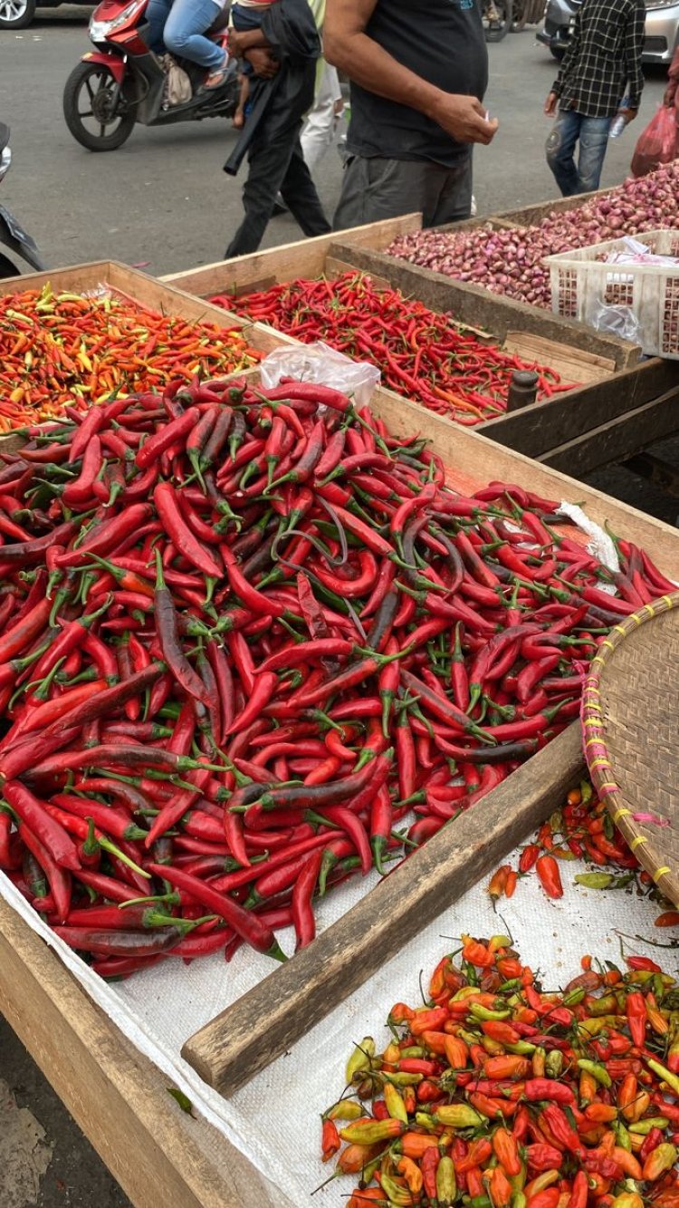 Harga Cabai di Batam Merangkak Naik