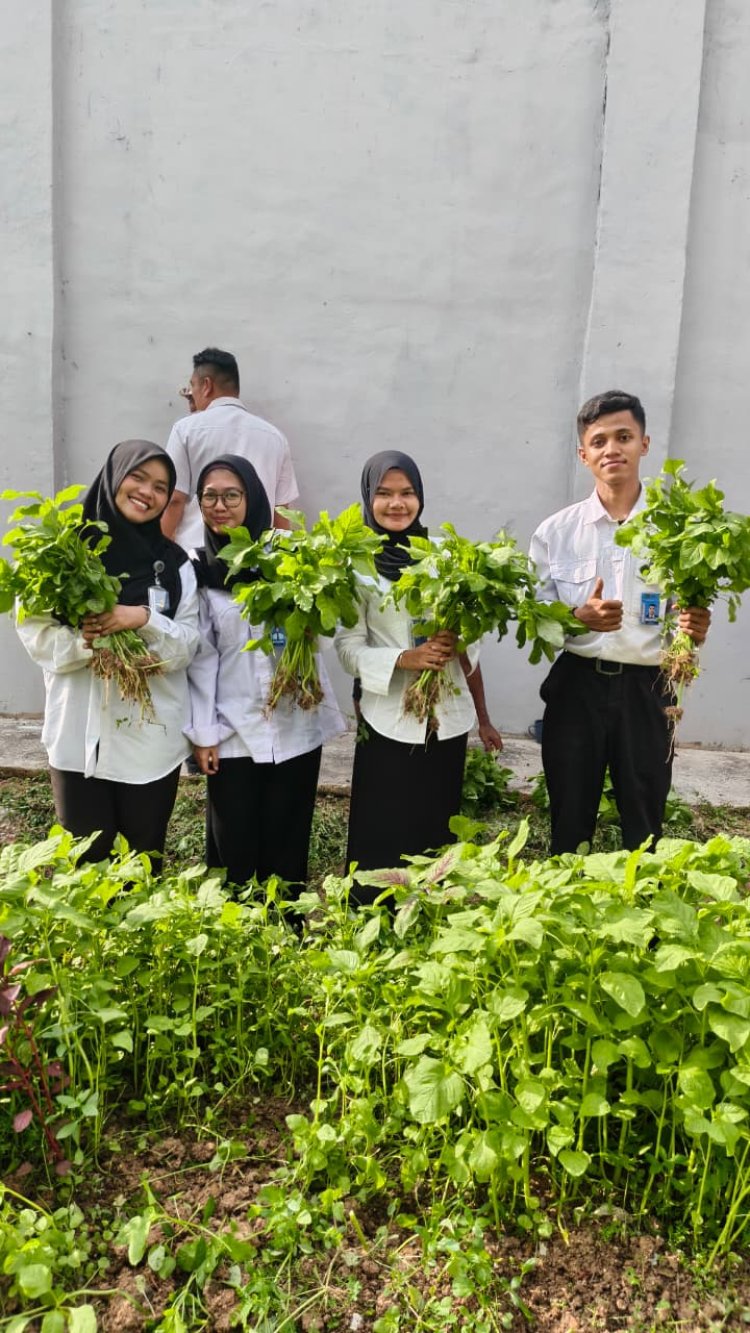 Lapas Batam Kembali Gelar Panen Raya Kangkung dan Bayam, Dukung Program Akselerasi Ketahanan Pangan