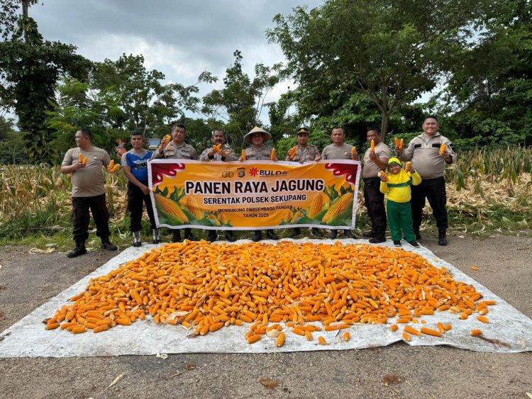 PANEN RAYA JAGUNG SERENTAK POLSEK SEKUPANG DUKUNG SWASEMBADA PANGAN 2025