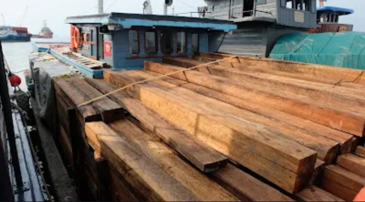 Dukung Pengawasan Hasil Hutan, Bea Cukai Batam Amankan 1.250 Balok Kayu Ilegal di Perairan Pulau Hangop