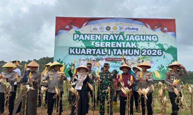 Polresta Barelang Dukung Swasembada Pangan Nasional Melalui Panen Raya Jagung Serentak Kuartal I Polda Kepri