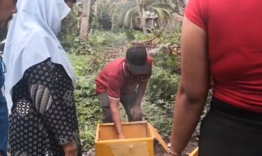 Gagal Pencoblosan Ketua RW 008 Tanjung Sengkuang, Panitia Akui Kelalaian, Kotak Suara Dibakar