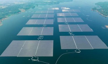 Terobosan Energi Hijau: Indonesia Resmikan Pembangkit Listrik Tenaga Surya Terapung Terbesar Kedua di Asia