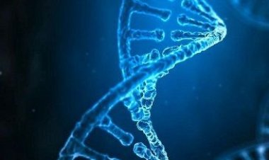 Kesehatan: Terobosan Baru dalam Pengobatan Penyakit Degeneratif