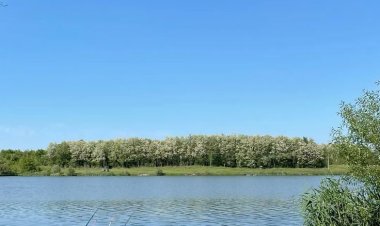 Seni Menanti di Balik Joran: Mengapa Memancing Jadi Tren Stress Relief 2026