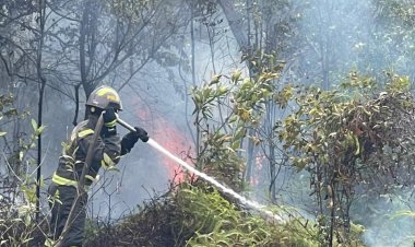 RESPONS CEPAT DITSAMAPTA POLDA KEPRI TANGANI KEBAKARAN LAHAN DI SAMBAU