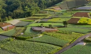 Desa Wisata 5G: Magnet Baru Bagi Para Digital Nomad Dunia di Indonesia