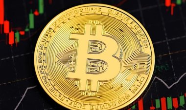 Dominasi Bitcoin dan Altseason 2026: Strategi Trading Crypto di Tengah Masifnya Adopsi ETF Global