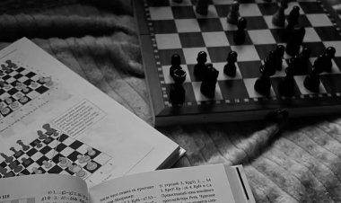 Strategi Skakmat: Mengadopsi Filosofi Grandmaster Catur dalam Menaklukkan Psikologi Trading dan Volatilitas Pasar Modal