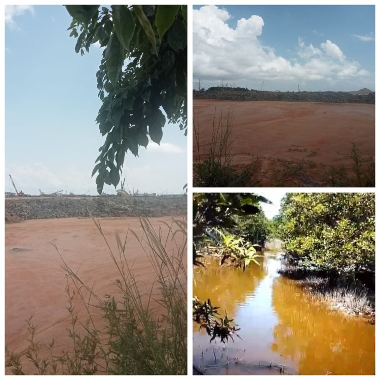 Ketum Aliansi LSM Ormas Peduli Kepri Angkat Bicara, Reklamasi PT KMS di Karimun Diduga Gunakan Material B3 dari Singapura