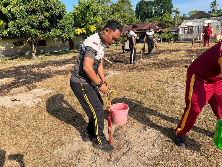 Polsek Dabo Singkep Manfaatkan Pekarangan, Tanam 200 Bibit Pisang Lemak Manis
