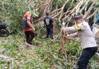 Rumah Warga Kelumu Tertimpa Pohon, Polisi Bergerak Cepat