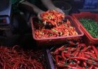 Harga Cabai di Pasar Tradisional Mulai Merangkak Naik Jelang Ramadhan