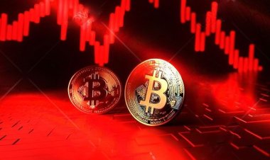 Dominasi Bitcoin dan Altcoin dalam Portofolio Digital Modern