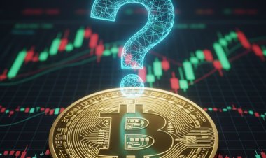 Pengaruh Halving dan Siklus Empat Tahunan Terhadap Harga Bitcoin