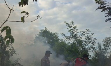 Kebakaran Lahan di Belakang Puskesmas Tiban Baru, Kapolsek Sekupang Langsung Turun ke Lokasi
