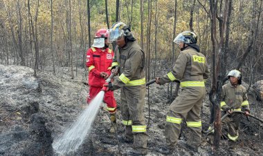 BRIMOB KEPRI GERAK CEPAT PADAMKAN KEBAKARAN HUTAN DI BUKIT DAENG TEMBESI, KOTA BATAM