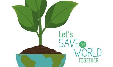 Lingkungan: Gerakan Penanaman Mangrove di Pesisir Kepri